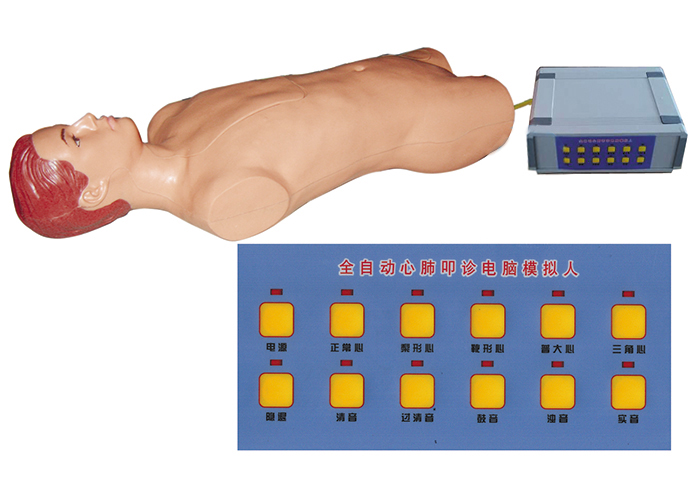 心肺叩诊电脑模拟人