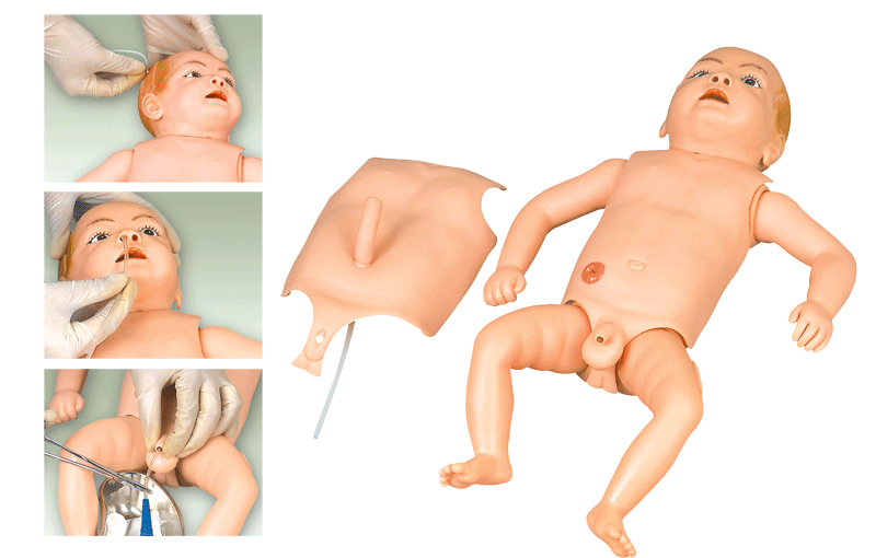 高级婴儿护理人模型
