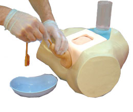 插管模拟器-供男性尿管和耻骨上膀胱导管插管临床研究