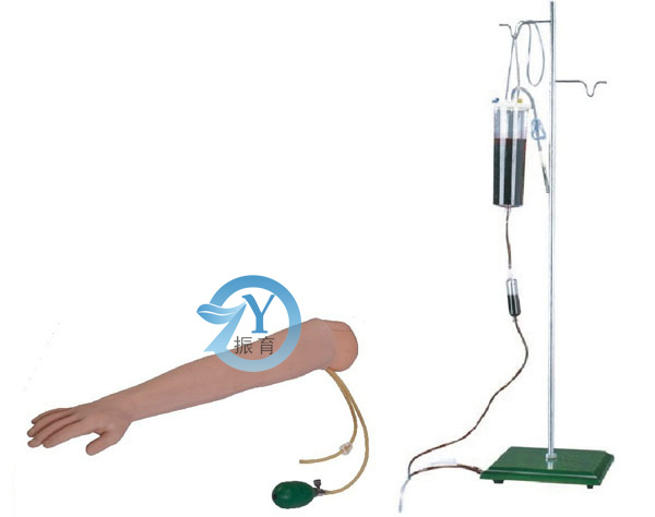 高级手臂动脉穿刺及肌肉注射训练模型