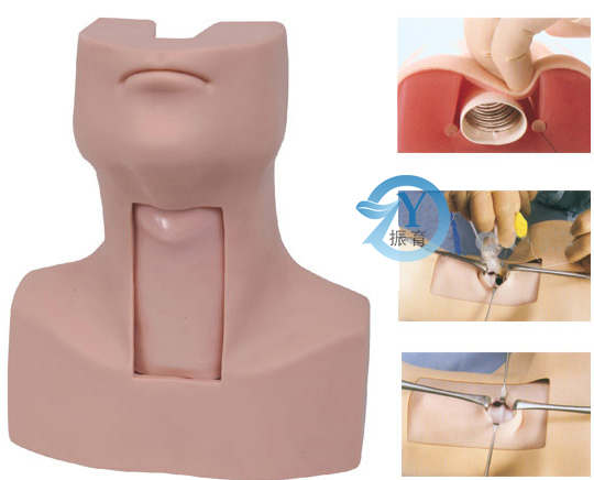 高级气管切开插管训练模型