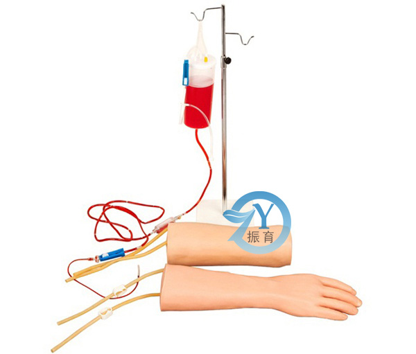手部、肘部组合式静脉输液（血）训练手臂
