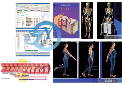 医教多媒体素材库及课件平台系统
