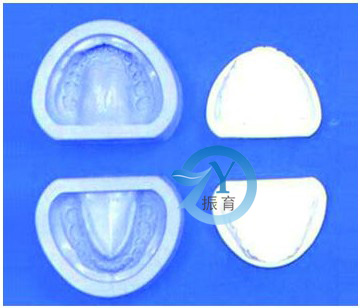 标准牙颌硅橡胶阴模